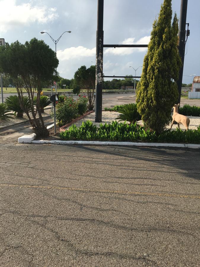 Alice Motor Inn Exterior photo